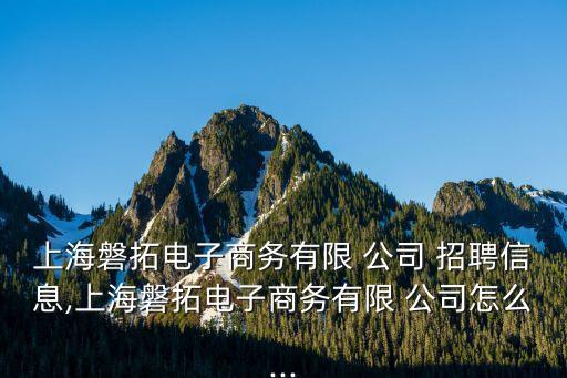 上海磐拓電子商務有限 公司 招聘信息,上海磐拓電子商務有限 公司怎么...