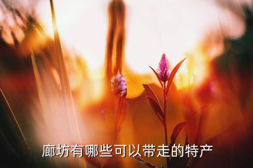  廊坊有哪些可以帶走的特產(chǎn)