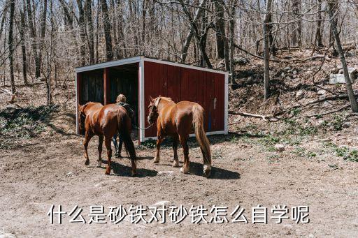 黃山體育用品配重鐵砂報價