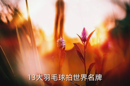 體育用品(深圳)有限公司,深圳富隆特體育用品有限公司