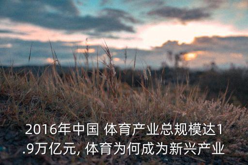 2016年中國(guó) 體育產(chǎn)業(yè)總規(guī)模達(dá)1.9萬(wàn)億元, 體育為何成為新興產(chǎn)業(yè)