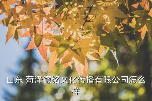 山東 菏澤德銘文化傳播有限公司怎么樣