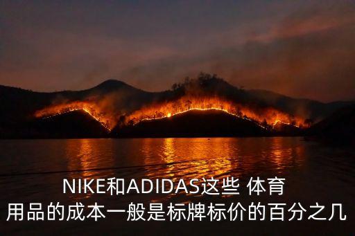 NIKE和ADIDAS這些 體育 用品的成本一般是標牌標價的百分之幾