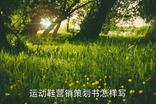 共享體育用品研發(fā)計劃,共享雨傘研發(fā)計劃