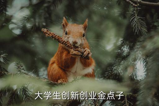 大學(xué)生創(chuàng)新創(chuàng)業(yè)金點(diǎn)子