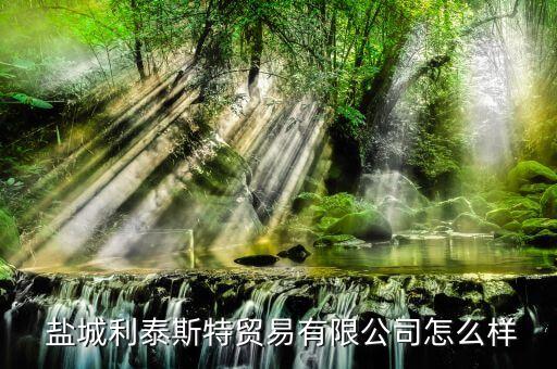  鹽城利泰斯特貿(mào)易有限公司怎么樣