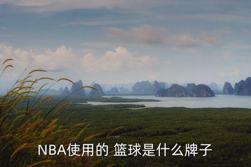 NBA使用的 籃球是什么牌子