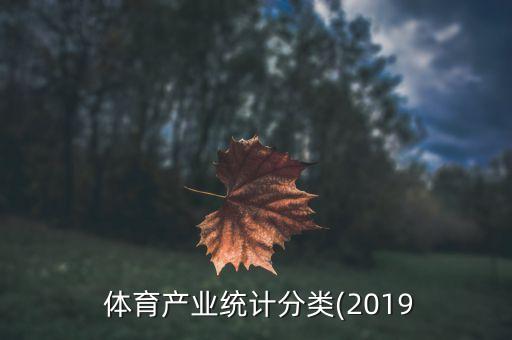  體育產(chǎn)業(yè)統(tǒng)計(jì)分類(lèi)(2019