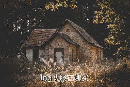 lng隊(duì)服在哪買