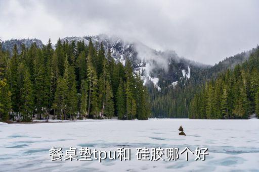 餐桌墊tpu和 硅膠哪個(gè)好