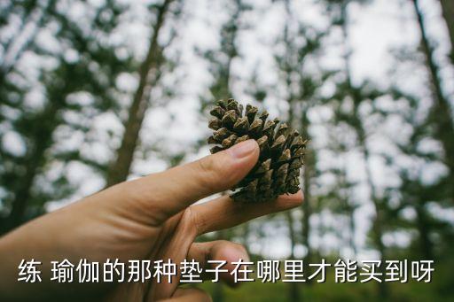 練 瑜伽的那種墊子在哪里才能買(mǎi)到呀