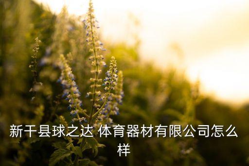 新干縣球之達 體育器材有限公司怎么樣