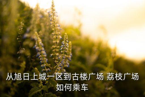 鼓樓荔枝廣場體育用品商場