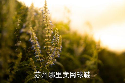 蘇州哪里賣網(wǎng)球鞋