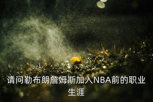 請問勒布朗詹姆斯加入NBA前的職業(yè)生涯