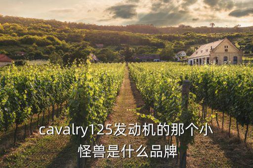 cavalry125發(fā)動機的那個小 怪獸是什么品牌