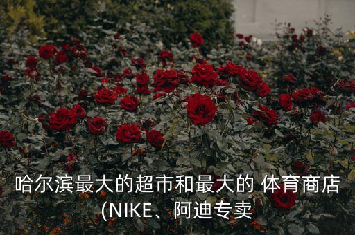 哈爾濱最大的超市和最大的 體育商店(NIKE、阿迪專賣