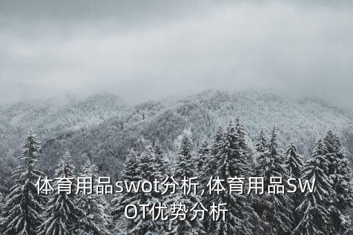 目前體育用品swot分析,體育用品SWOT優(yōu)勢分析