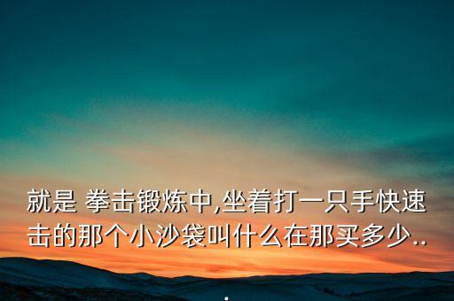 就是 拳擊鍛煉中,坐著打一只手快速擊的那個小沙袋叫什么在那買多少...