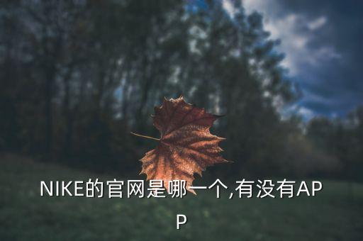 NIKE的官網(wǎng)是哪一個(gè),有沒(méi)有APP