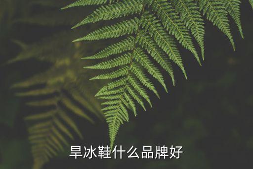 天鵝體育用品,體育用品創(chuàng)業(yè)計(jì)劃書