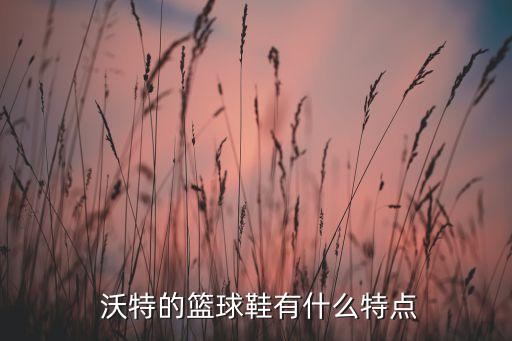  沃特的籃球鞋有什么特點(diǎn)