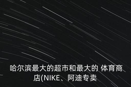  哈爾濱最大的超市和最大的 體育商店(NIKE、阿迪專賣