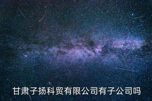  甘肅子揚科貿(mào)有限公司有子公司嗎