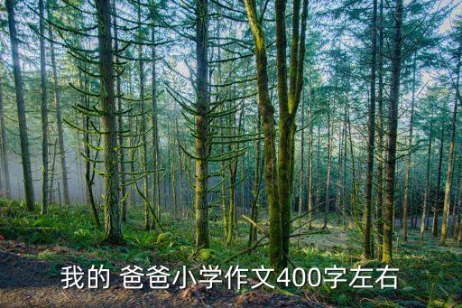 我的 爸爸小學(xué)作文400字左右