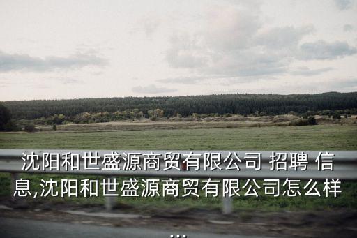 沈陽和世盛源商貿(mào)有限公司 招聘 信息,沈陽和世盛源商貿(mào)有限公司怎么樣...