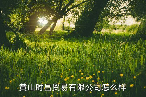 黃山時(shí)昌貿(mào)易有限公司怎么樣