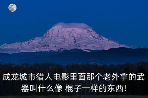 成龍城市獵人電影里面那個(gè)老外拿的武器叫什么像 棍子一樣的東西!