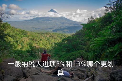 一般納稅人進項3%和13%哪個更劃算