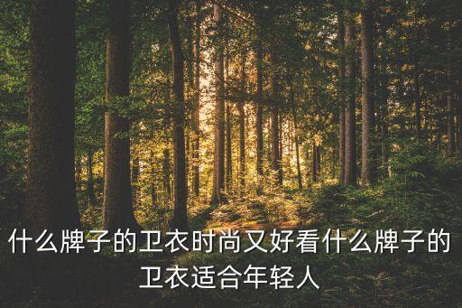 什么牌子的衛(wèi)衣時尚又好看什么牌子的衛(wèi)衣適合年輕人