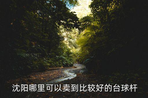  沈陽(yáng)哪里可以賣到比較好的臺(tái)球桿