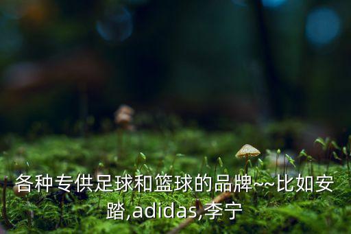 各種專供足球和籃球的品牌~~比如安踏,adidas,李寧