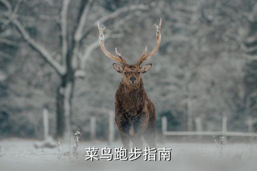 碳路者體育用品