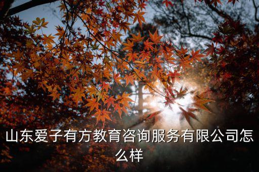 山東愛子有方教育咨詢服務(wù)有限公司怎么樣